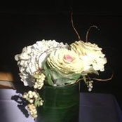 Bon Bon's photo