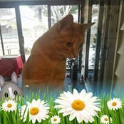 Toni Brown's photo