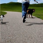 Yvonne Adamek's photo