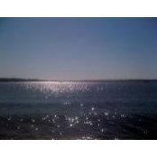 Stacey Crew's photo