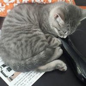 Jennifer Gentry's photo