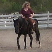 Dee Morse's photo