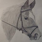 Carol Kiser's photo