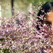 Elena Caldini's photo