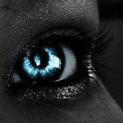 Terri McCalebs foto