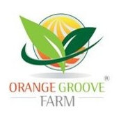 Orange Farm's photo