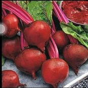 Beet Root's photo