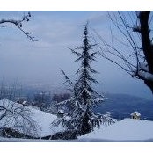 Eirini Taskous foto