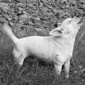 Jo Bryant's photo