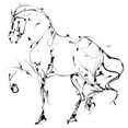 White Horse Interiors and Renovations, LLC's profile photo