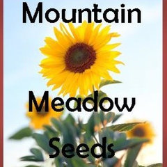 Mountain Meadow Seeds
