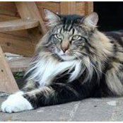 Ariane Stoffer's photo