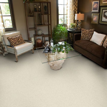 Carpet Inspiration