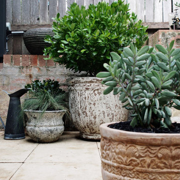 Birchgrove 2
