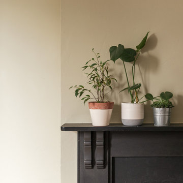 Mantle piece with houseplants