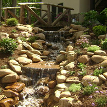 Backyard Water Feature