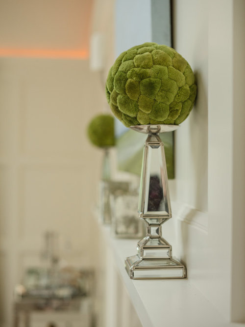 Moss Balls Ideas, Pictures, Remodel and Decor