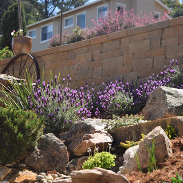 Mediterranean Backyard Transformation - Tiburon, CA