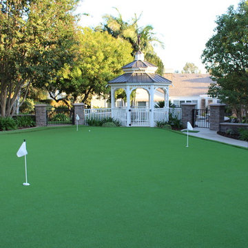 Transformed Lawn Area