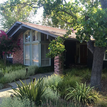 Sunnyvale Front Yard Renovation