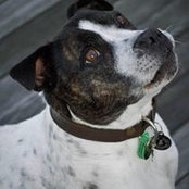 Jo Dempsey's photo
