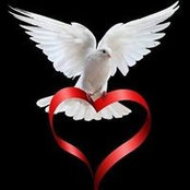 Foto von Kathy Payne