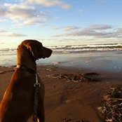 Andrew Graham's photo