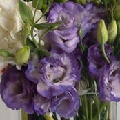 Nancy Talavera's photo