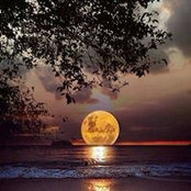 Dawn Johnson's photo