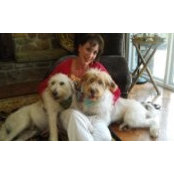 Anne Williams's photo