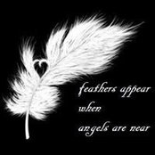 Cindy Anton's photo