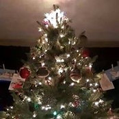 Sarah Romano's photo