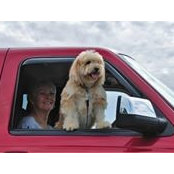 Foto von SteveKathy Jacobsen
