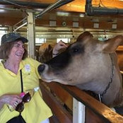 Lynn Lowin's photo