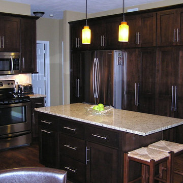 Contemporary Kitchen Remodel