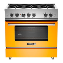 Pro-Line 36" Range - Gas Ranges And Electric Ranges