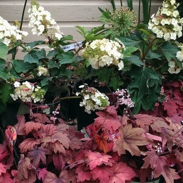 Mid to Late Summer Color Combinations