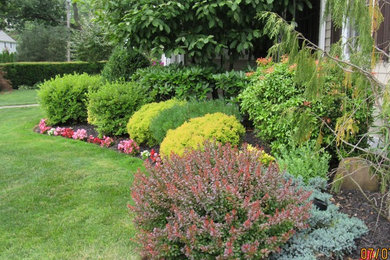Modelo de jardín tradicional de tamaño medio en primavera en patio trasero con exposición total al sol y mantillo