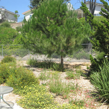 Sustainable Garden Makeover in Mission Viejo