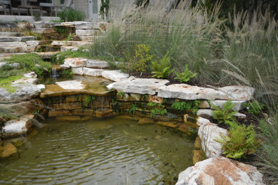 Example of a mountain style home design design in Austin
