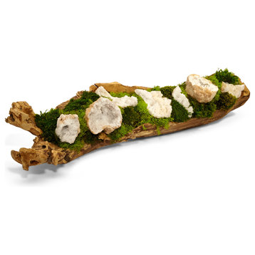 Organic moss and quartz in hand carved wood log