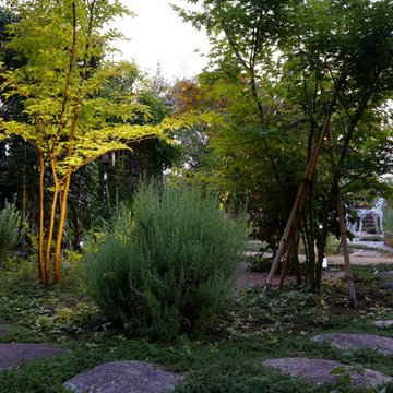 植木のある暮らし