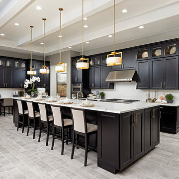 Robert model home in Arizona