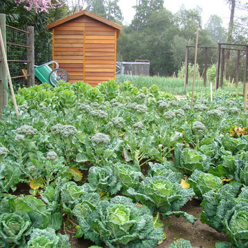 Vegetable gardens