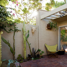 horizontal arbor over window
