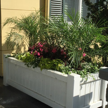 Planters & WIndow Boxes