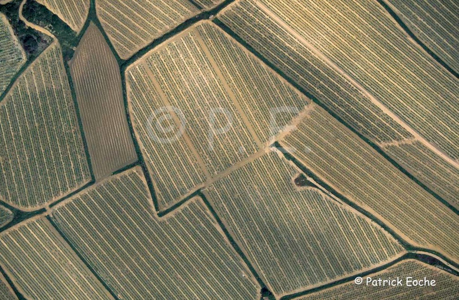 Autre sélection de la photothèque