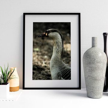 "My Good Side" Fine Art Duck Print
