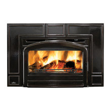 Fireplace Insert
