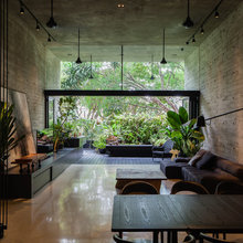 Plantas de interior